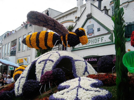 Парад цветов в Нидерландах

  